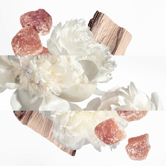 Ingredientes do perfume Eau Ginger.