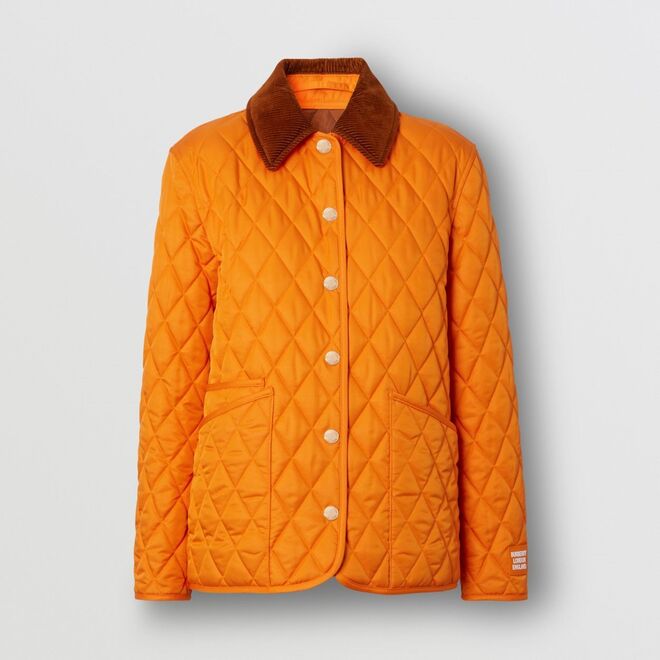 Blusão em algodão com bombazine, €890, Burberry