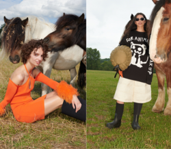 H&M apresenta coleção vegan aprovada pela PETA