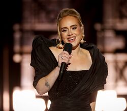 Adele em lágrimas por ter de cancelar concertos