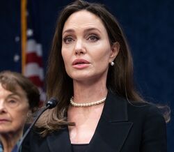Angelina Jolie emociona-se ao defender lei contra a violência doméstica 