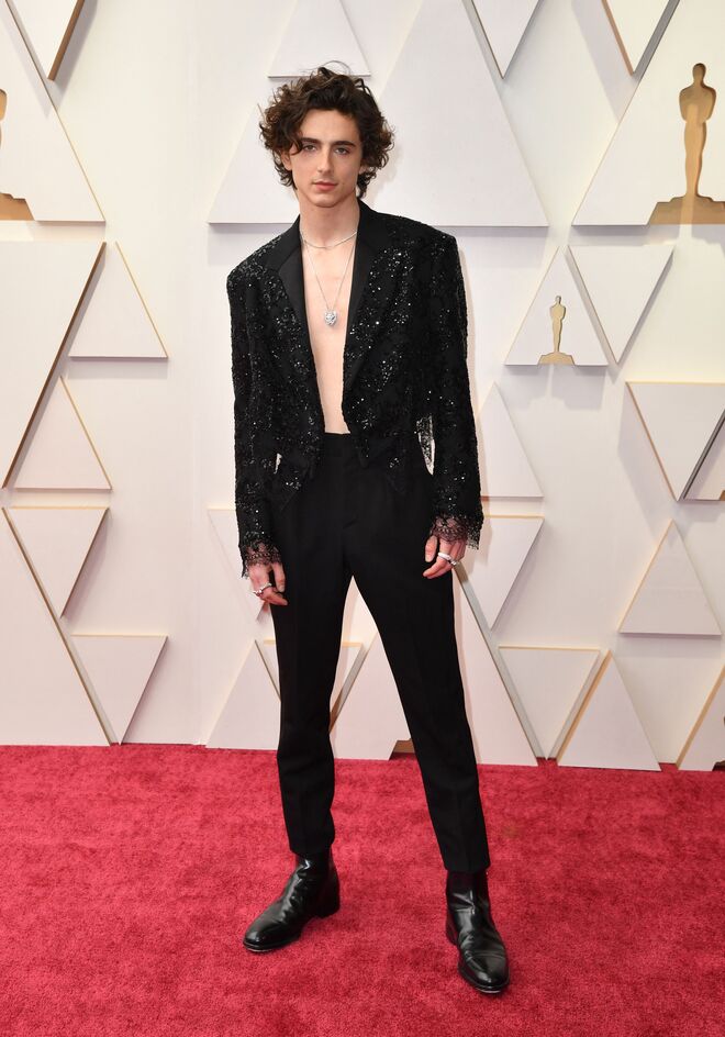 Timothée Chalamet em Louis Vuitton