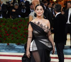 Met Gala. Eis os piores looks da noite