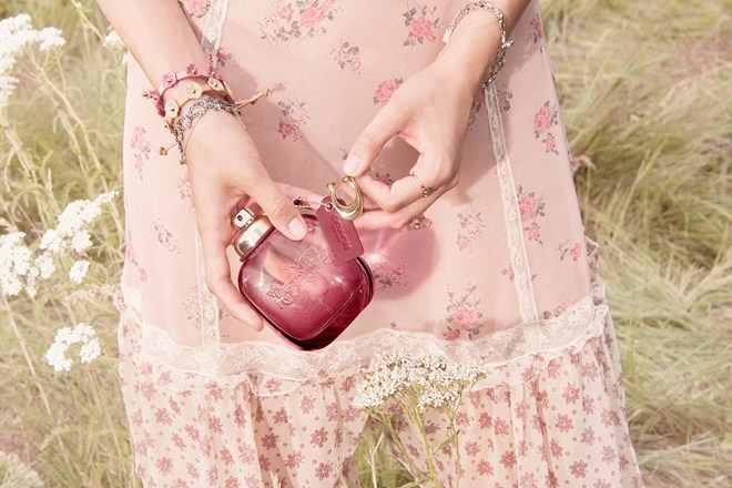 Wild Rose, Coach