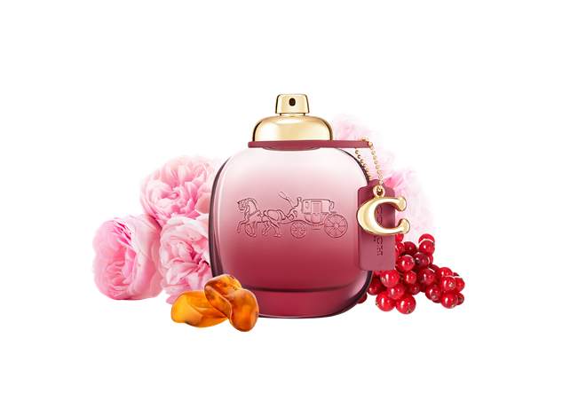 Wild Rose, Coach