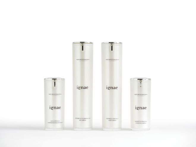 Conquista Máxima ! IGNAE