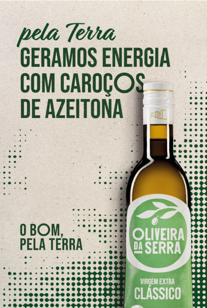 'Oliveira da Serra' utiliza os caroços das azeitonas para gerar energia verde