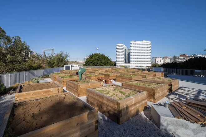 Horta comunitária assegurada pela SEMEAR