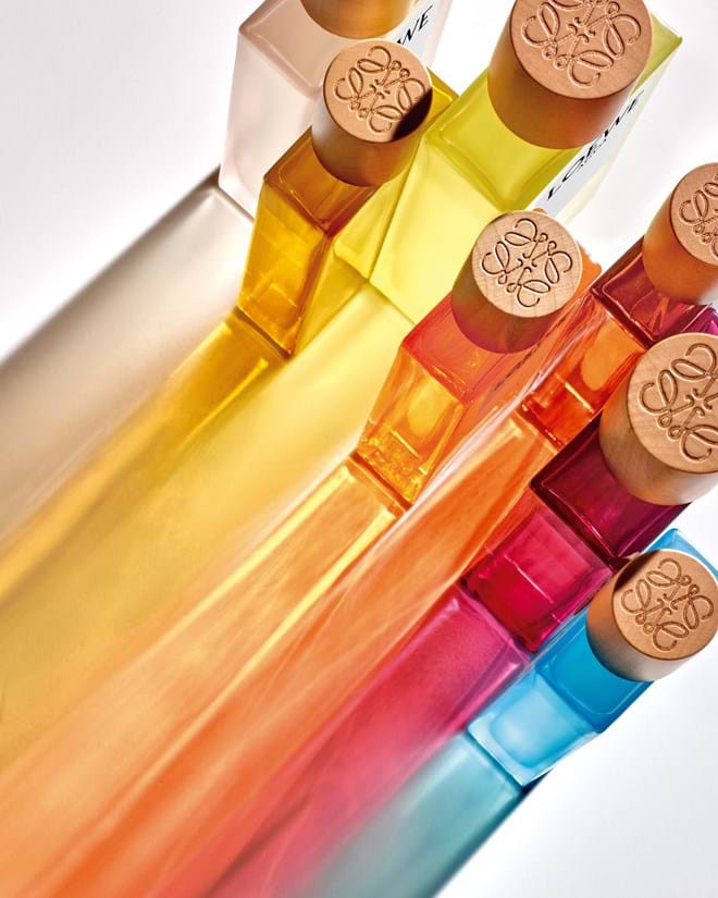 Coleção Botanical Rainbow