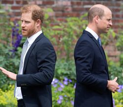 Harry recorda luta violenta com William. "Não precisas de contar à Meghan"