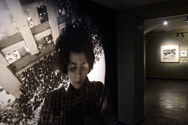 Isabela diz andar a perseguir Vivian Maier desde 2017. Viu várias exposições, leu biografias dela.