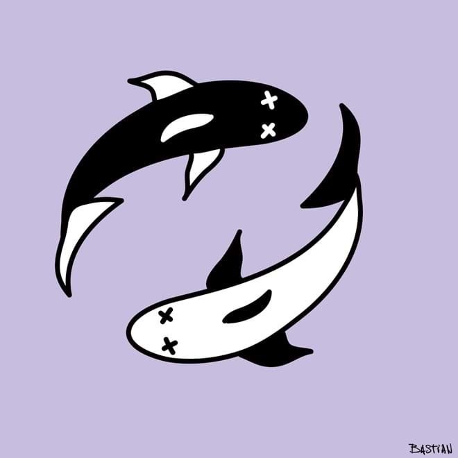 Peixes.