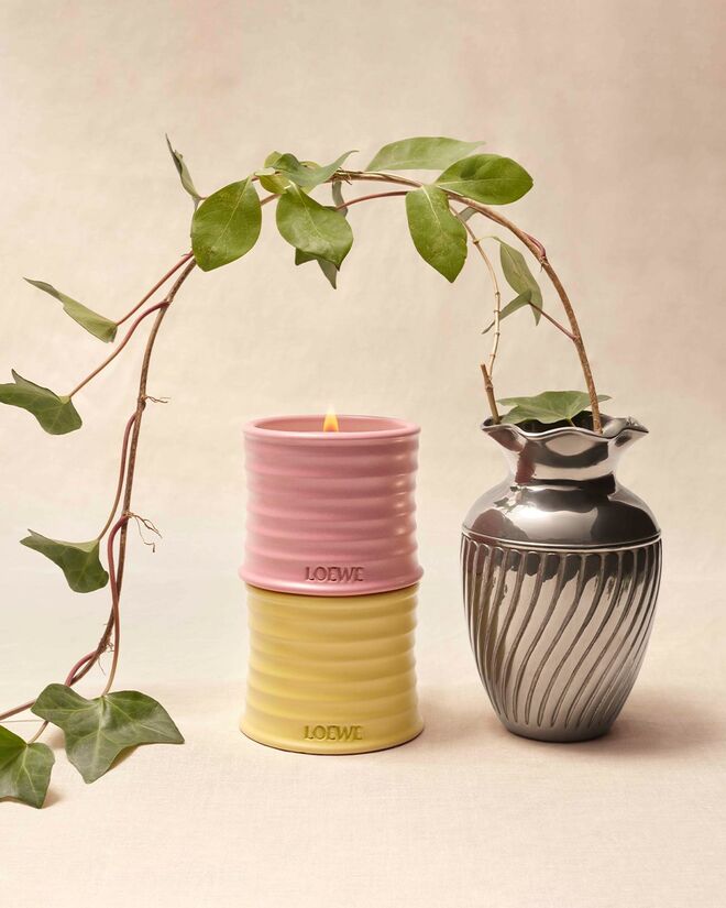 Velas Ivy e Honeysuckle, €80 (cada), Loewe