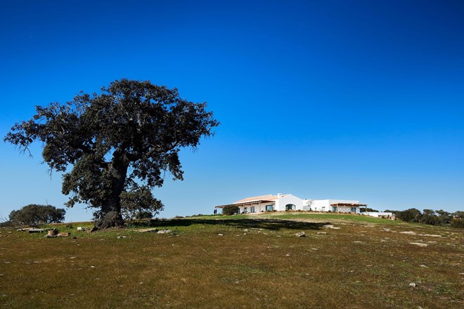 A Casa Nossa – The Lake Farmhouse garante o conforto e paz que o Alentejo tem para oferecer.