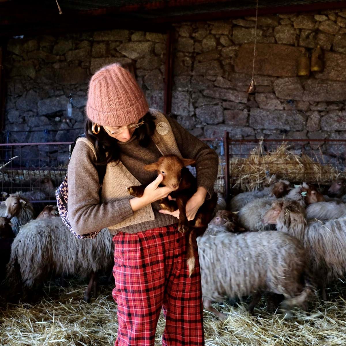 Quantas ovelhas são necessárias para se fazer um casaco de lã