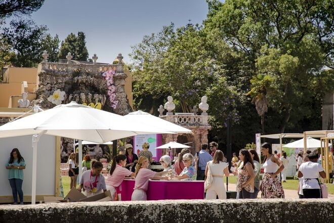 Entrega dos beauty bags.