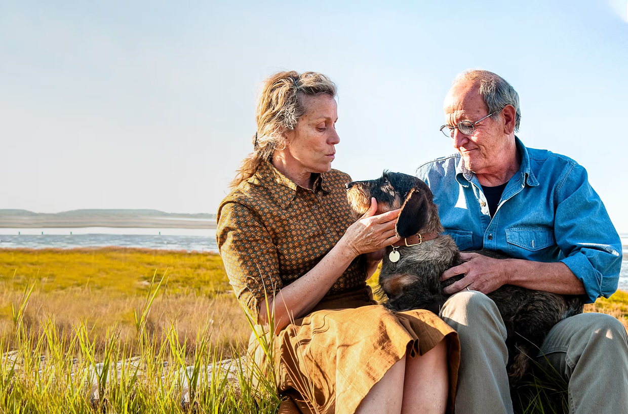 Olive Kitteridge (2014)
