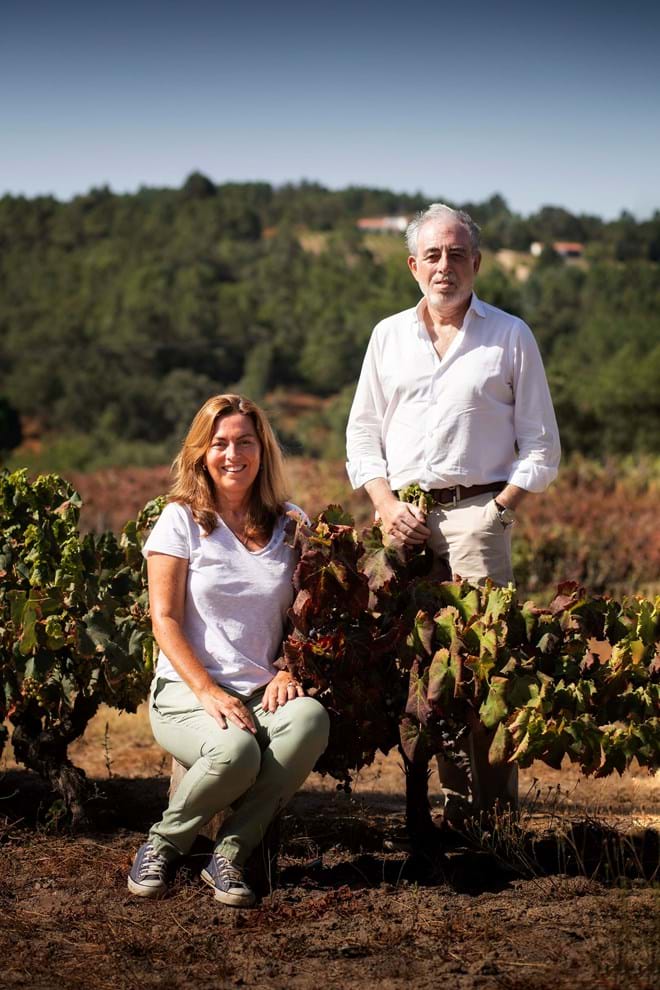 Junto com António Menano, com quem tem uma sociedade, criou dois Alegretes, um tinto e um branco.