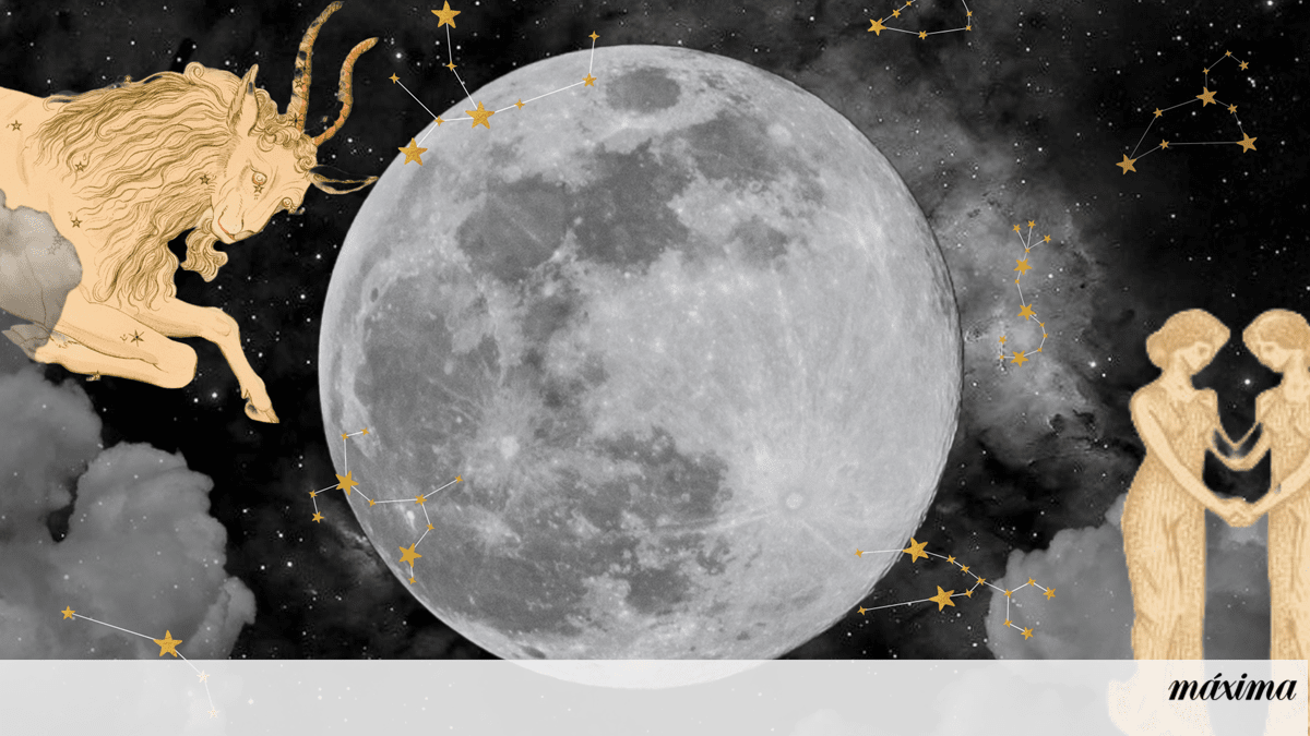 Horoscopes from February 19 to 25, 2024. Find out what your week will be like – current