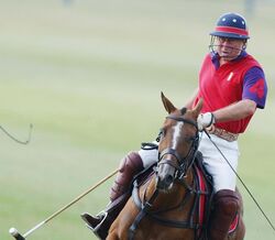 Não almoça, tem uma dieta rígida e faz exercício regular. A rotina de Carlos III mudou?