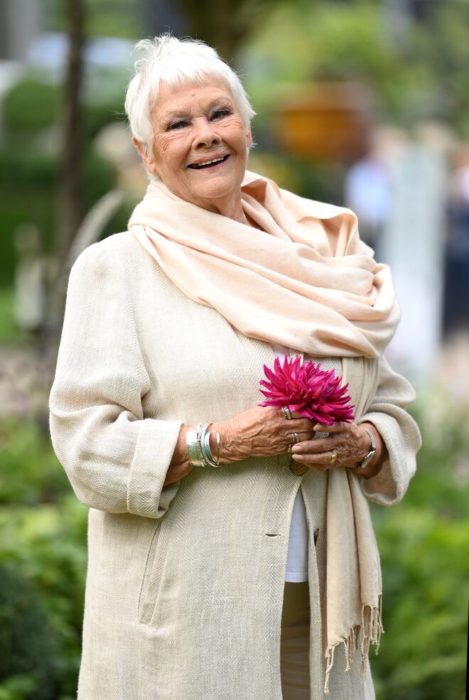 Judi Dench