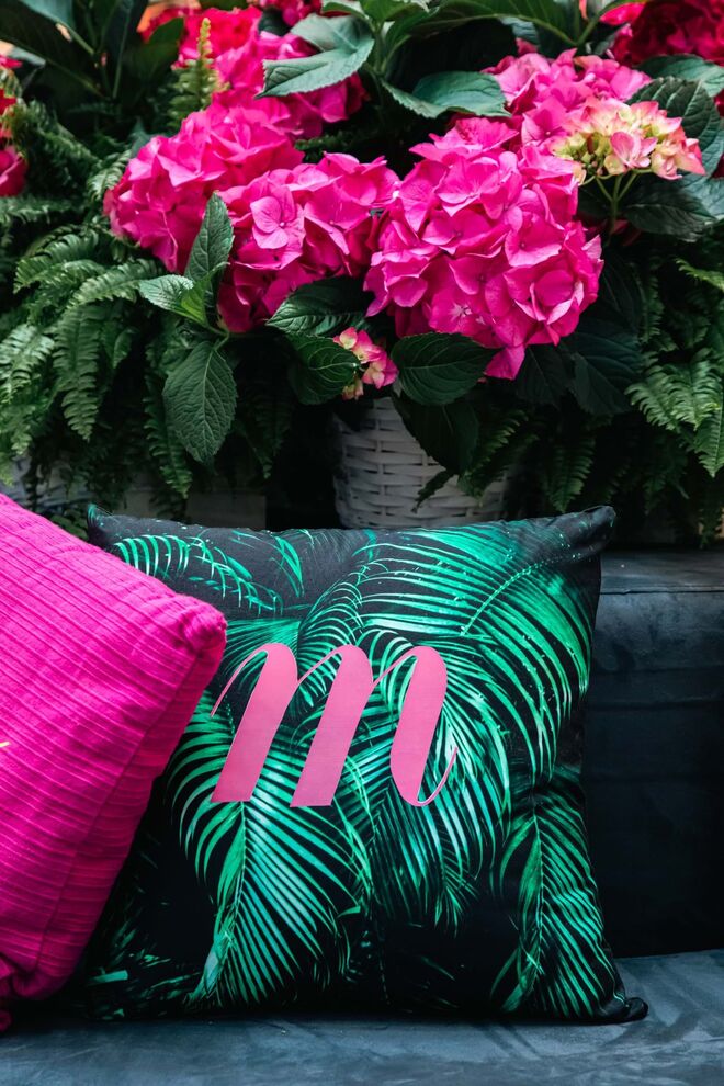 Imagens gerais do evento.