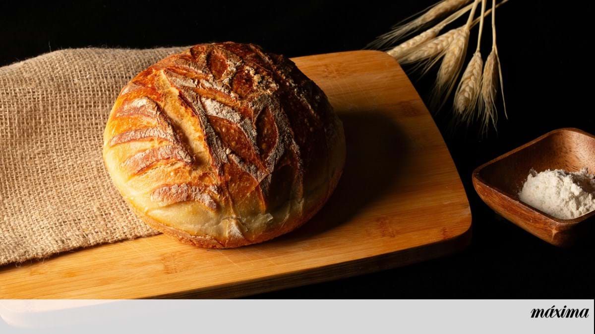 Porque não devemos guardar pão no frigorífico