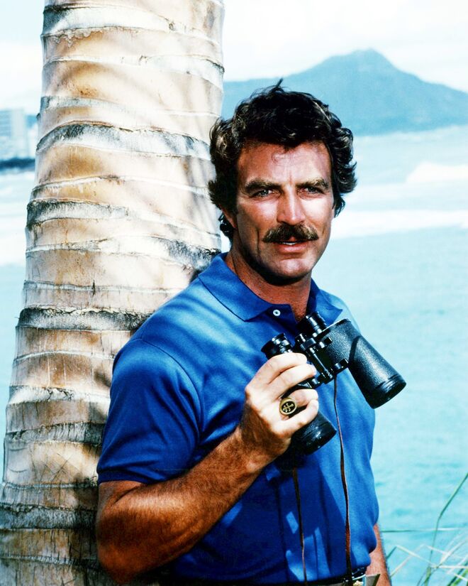 Tom Selleck | Se chegou até aqui, então, merece um brinde. Sim, podíamos ter escolhido uma foto atual de Tom Selleck, mas não é muito mais agradável olharmos para esta, do ator no papel de Magnum P.I. a famosa série, com o mesmo nome, dos anos 80? Sucede que Selleck, para além de um magnífico ator, agora também cultiva abacates. O ator comprou um rancho com abacateiros e o resto, como se costuma dizer, é história.