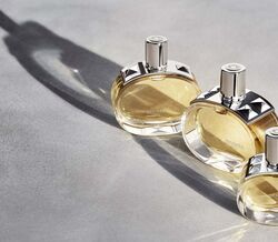 O novo perfume Barénia cheira a mulheres selvagens 