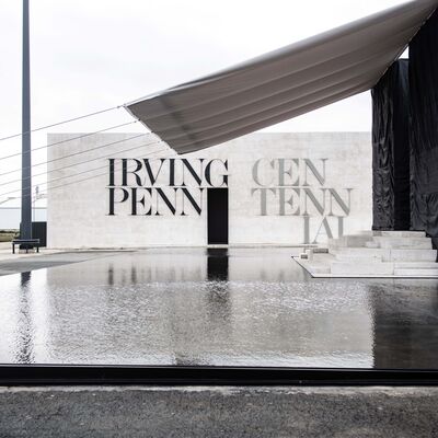 Irving Penn: A arte minimalista de imortalizar o efémero