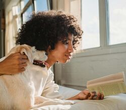Mito ou verdade. Os nossos cães podem dormir connosco na cama?