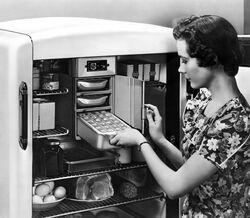 Quanto tempo duram os alimentos no frigorífico durante um apagão?