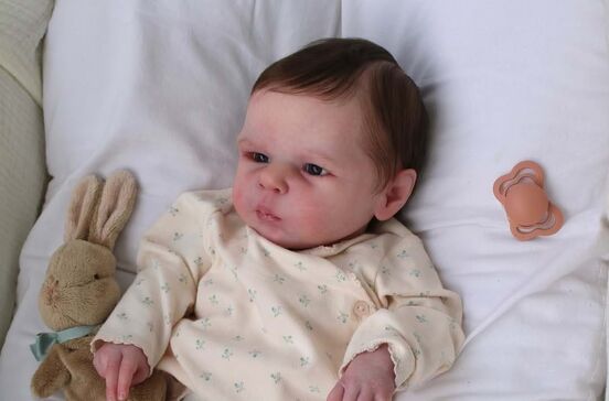 Parecem reais, mas são bonecos. O fascinante mundo dos 'bebés reborn'