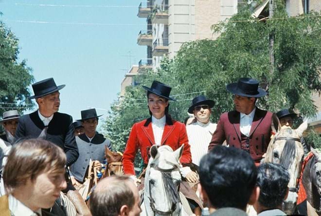 Jackie constrói um cavalo andaluz.