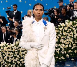 Tyler Mitchell e o poder da fotografia para reclamar
