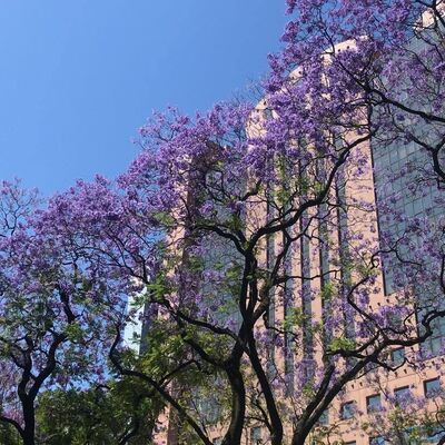 "A rua é de todos." Falámos com os movimentos que estão a lutar pelo direito de viver a cidade