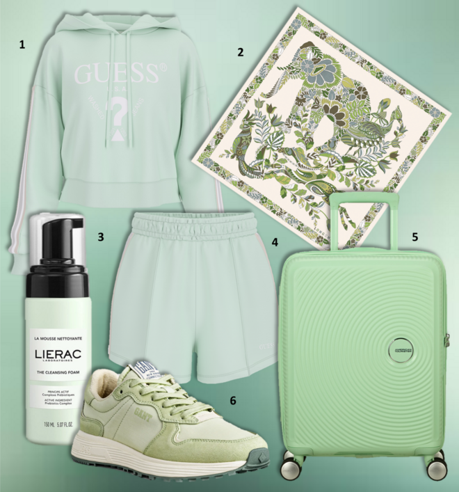 1.Sweatshirt, €90, Guess; 2. Lenço Forêt, €110, Longchamp; 3. Espuma de limpeza facial, 150ml, €17, Lierac; 4. Calções, €65, Guess; 5. Mala de cabine Soundbox 55cm, €172, American Tourister; 6. Ténis Beywin, €119,95, Gant.