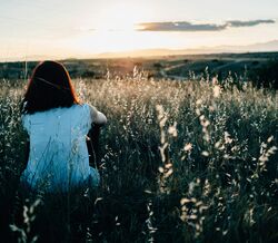 "A maturidade não é mensurável, já a sensatez deveria ser um atributo obrigatório para ter tempo de antena", escreve Maria João Veloso