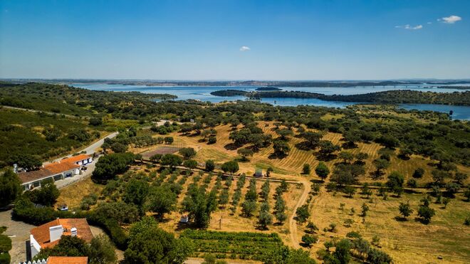 A Horta da Moura terá sido o primeiro hotel rural do Alentejo, quando abriu em 1991