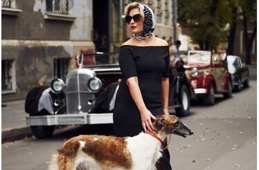 A rotina de luxo destes animais de estimação