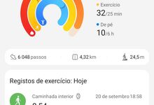Registos de atividade mostram passos, distância e calorias queimadas num dia