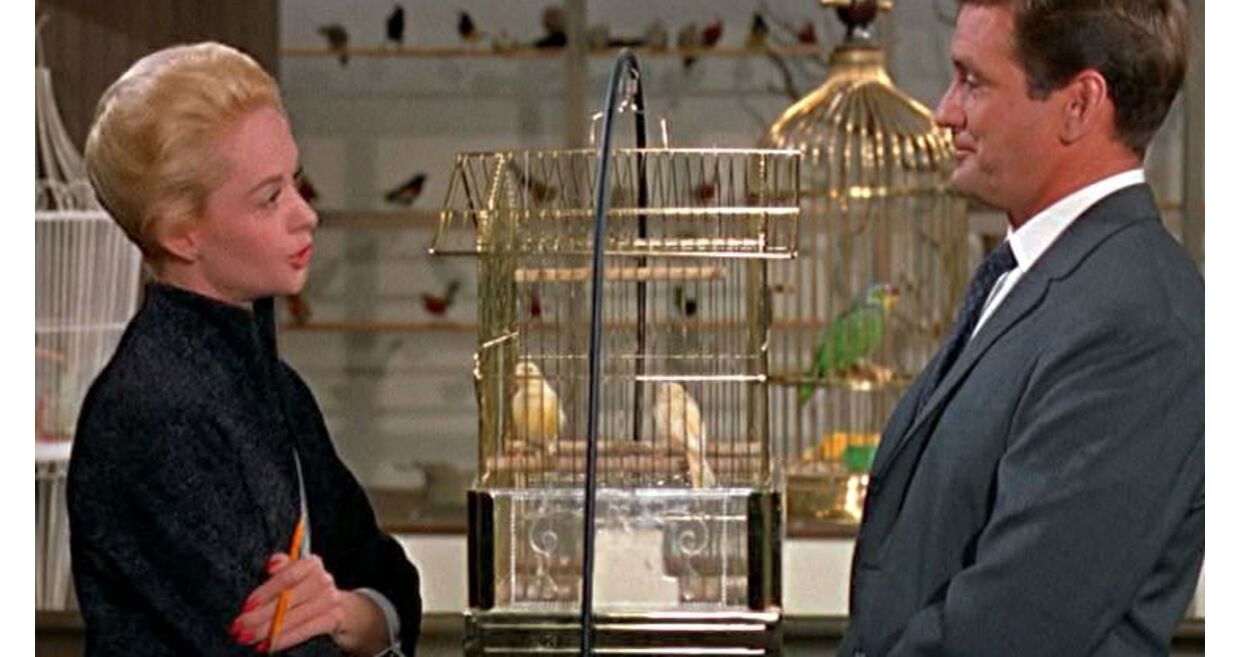 Filme "Os Pássaros" ("The Birds"), 1963 