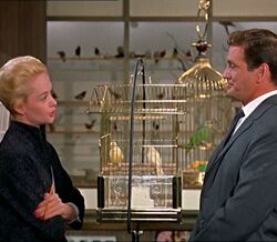 Filme "Os Pássaros" ("The Birds"), 1963 