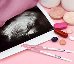 Microplásticos no fluido folicular afetam fertilidade feminina, segundo estudo