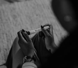 Microplásticos nos ovários podem prejudicar fertilidade feminina