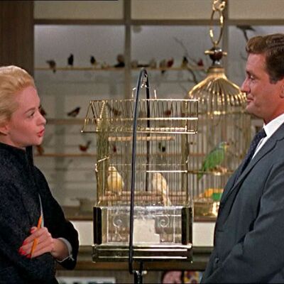 Filme "Os Pássaros" ("The Birds"), 1963 