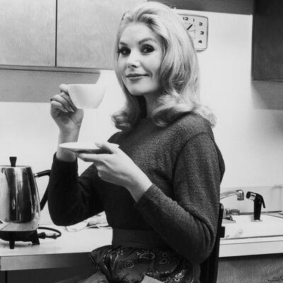 As previsões dos signos para a semana de 17 a 23 de novembro de 2025