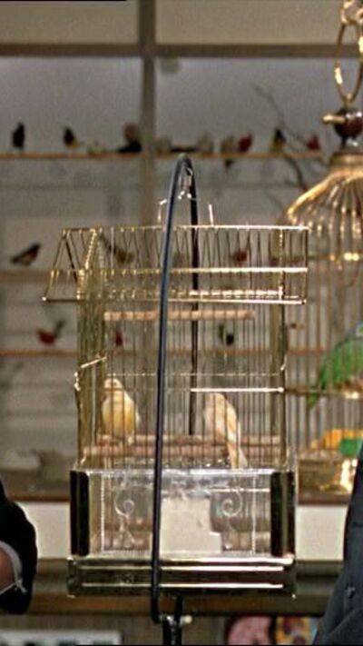 Filme "Os Pássaros" ("The Birds"), 1963 