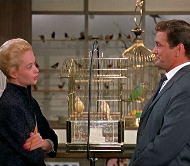 Filme "Os Pássaros" ("The Birds"), 1963 