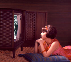 Carneiro, Caranguejo, Balança e Capricórnio iniciam o ano com desafios e oportunidades